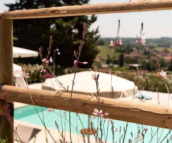 La Casa Delle Rondini